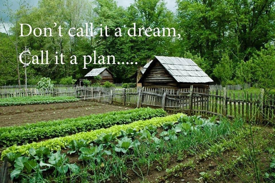 This meme is a humorous image of a small, rustic garden with a few rows of vegetables and a small wooden shed in the background. The text "Don't call it a dream, call it a plan" appears in a large, white font at the top of the image. The image is meant to be ironic, implying that the garden is not just a dream, but a well-planned and successful project.